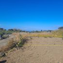 번영로농장 이미지