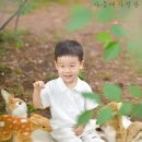 아이아이스냅