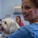 광주24시스카이동물메디컬센터 이미지