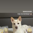 머거두댕 이미지