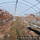 선원면-7 이미지