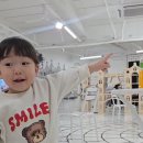 야옹이네 고양이카페ㅣ 36개월 째째와 첫 고양이카페 방문후기 🐱
