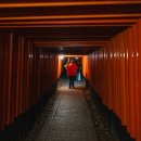 붉은 여우 PC | 이나리산에는 멧돼지 가족이 살고있다