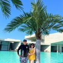 엘리스테이 이미지