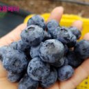 비당농장 이미지