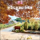 더소풍Ⅰ | 전주 한국도로공사 수목원(2023.11): 비영리 수목원의 대표주자