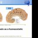24 브레인아카데미 3강 보고 이미지