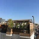 피피서울(PP SEOUL)
