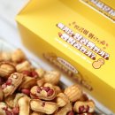 경상대학교박물관 | 진주성 맛집 땅콩당인생땅콩빵 리얼 후기 입안 가득 고소한 행복