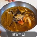 청포마을 | 대전 관평동 구즉묵마을 솔밭묵집, 보리밥/채묵/파전 후기