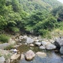 사나사(사찰 앞) 이미지