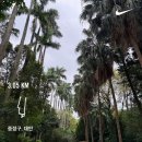 성임임업 | 대만 러닝코스 추천｜타이베이 러닝 코스 소테츠 그랜드 프레사 시먼에서 타이베이 식물원(평지코스)