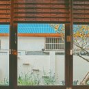 [전주/부산] 영화같은, 여행같은 숙소 웻에버&로텐바움 후기