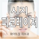 시지감
