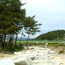 장풍숲위 이미지