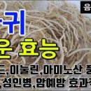 성인병 예방에 좋은 씀바귀 먹으면 효능 이미지