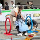 그린카사 이미지