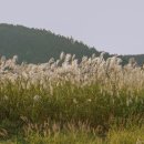 호텔아이엠 이미지