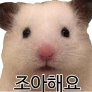 스텔라마사지샵