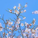 우신푸드시스템 이미지