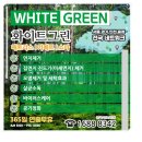 그린카페트 소파세탁 이미지