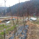 솔바람농장 이미지