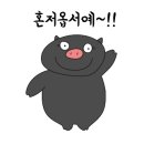 대영돈돼지 이미지