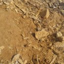 우리농장1 이미지