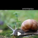 모아미술교습소