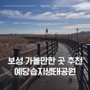 예당습지생태공원 | [보성] 보성 가볼만한 곳 예당습지생태공원 지친 마음 치유 산책