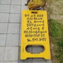 스파이용원 네이버블로그