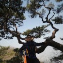 산우리 - 강릉시 | 산우리