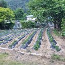 무학보건진료소 이미지