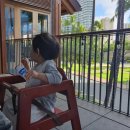 사모아쇼핑센터 이미지