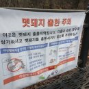 용화약수터 이미지