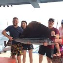 복용낚시터 | 푸켓 라차섬 투어 추천 안다만 해 낚시 스노클링 후기