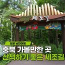 대추길 이미지