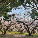 (주)해남땅끝리조트 이미지