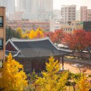서초엘씨랜드빌 | 동묘 여행 (1) :: 동묘백숙닭국수, 동묘 벼룩시장, 동관왕묘
