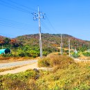 창녕, 우포늪 체험장 - 대합면 구룡산 - 구룡저수지 원점 이미지
