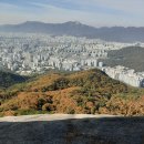 경성공인중개사사무소 이미지