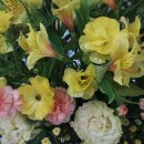 주정차단속-11 이미지