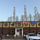 거북명태 이미지