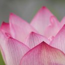 전현수정신건강의학과의원 이미지