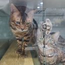 호텔도도 이미지