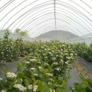 은현농장 이미지