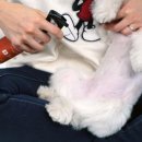 그루밍박스 이미지