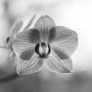 검암검도관 이미지