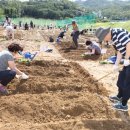 낙성대동-38 헤럴드경제