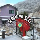 펜션오월의정원 | 용인 펜션 숙소 에어비앤비 호스트 상봉-오월속에 있다 카페